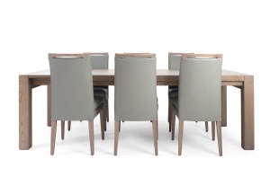 Rhine Ash Gray Table with Elke Leather Chairs, Nordholtz