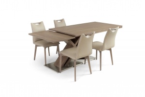Alster X base table with Ritz leather chairs, In New Jersey