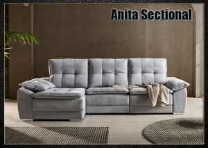 Anita-sectional, Cheap