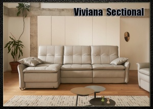 Viviana-sectional, Cheap